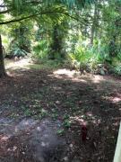Top Palm Coast