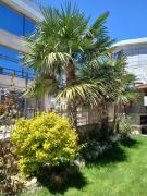 Zenith Guest House