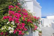 Top Santorini
