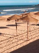 Top La Mata