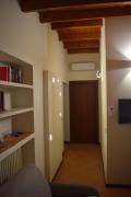 Top Arona