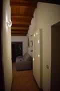 Top Arona