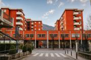 Top Tirano