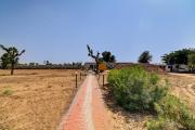Top Bikaner