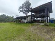 Top Sajang