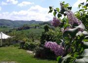 Top Salsomaggiore Terme