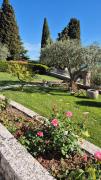 Apartment Solare