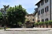 Top Massarosa