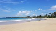 New Chill Surf Apartment, 50 m from Dikwella Beach, near Hiriketiya