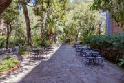 Top Sorrento