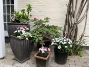 Top Middelfart