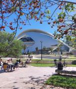 Top Valencia