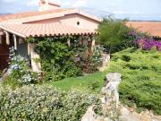 Top Capo Coda Cavallo