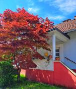 Family Apartment near Terme Čatež - 4C