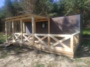 Top Orzyny