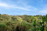 Top Mijas Costa