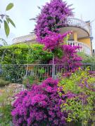 Apartments with parking space Medveja, Opatija - 7721