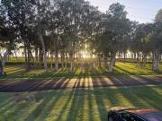 Top Burrum Heads