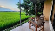 Top Hoi An