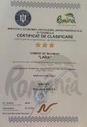 Top Baile Felix
