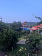 Top Yelagiri