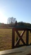 Top Wiele