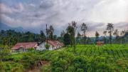 Top Vythiri