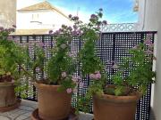 Top Ayamonte