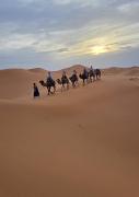 Moroccan Desert Camp