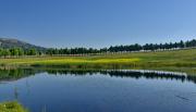 Top Dullstroom