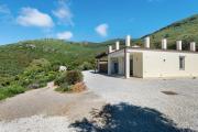 Top Lacona