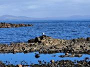 Top Whithorn
