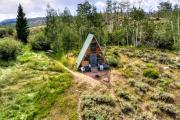 Top Walden