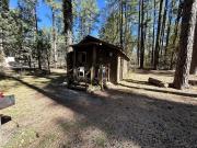 Top Payson