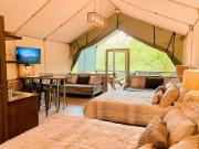 Top Cibolo
