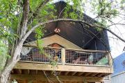Top Cibolo
