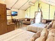 Top Cibolo