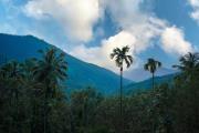 Top Kannur