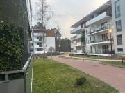 Top Stegna