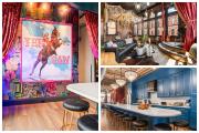 The Velvet Songbird Downtown Luxe Sleeps 24