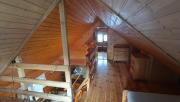 Top Solina