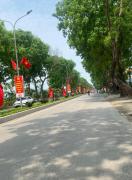 Tam Coc Golden Homestay