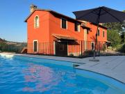 Top Todi