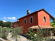 Top Todi