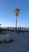 Top Kos Town