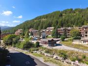 Top Allos