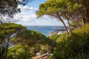 Top Barbate