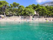Villa Ruza at Punta rata beach, apartment Dream
