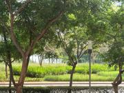 Top Dehu Road