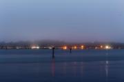 Top Bodega Bay